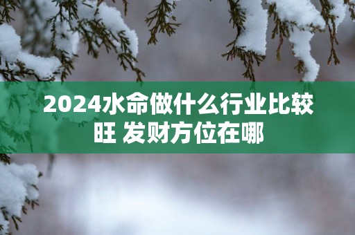 2025水命做什么行业比较旺 发财方位在哪