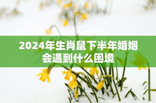 2025年生肖鼠下半年婚姻会遇到什么困境