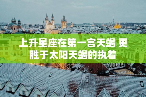 上升星座在第一宫天蝎 更胜于太阳天蝎的执着