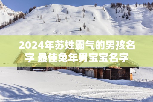 2025年苏姓霸气的男孩名字 最佳蛇年男宝宝名字