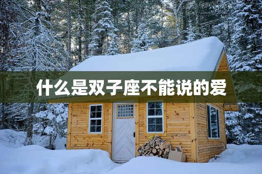 什么是双子座不能说的爱