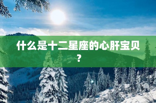 什么是十二星座的心肝宝贝？