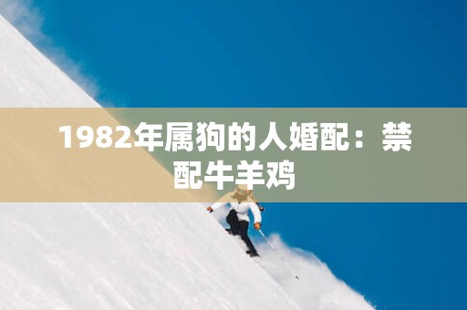 1982年属狗的人婚配：禁配牛羊鸡