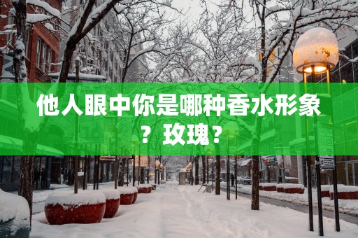 他人眼中你是哪种香水形象？玫瑰？