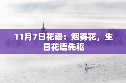 11月7日花语：烟雾花，生日花语先驱