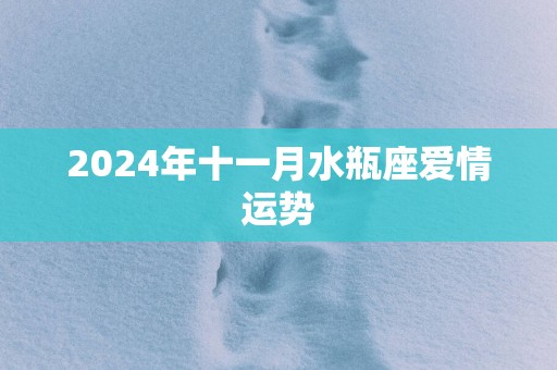 2025年十一月水瓶座爱情运势