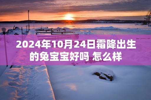 2025年10月24日霜降出生的兔宝宝好吗 怎么样