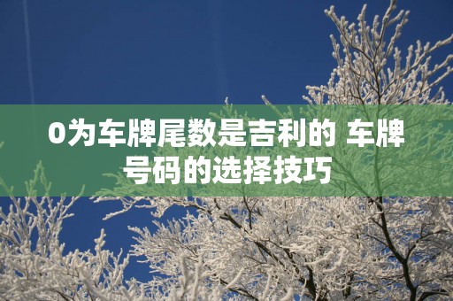 0为车牌尾数是吉利的 车牌号码的选择技巧