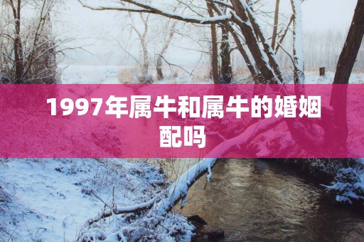 1997年属牛和属牛的婚姻配吗