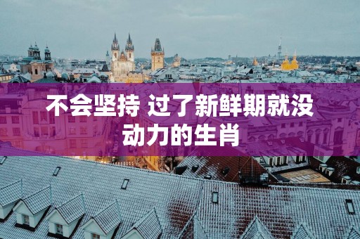 不会坚持 过了新鲜期就没动力的生肖