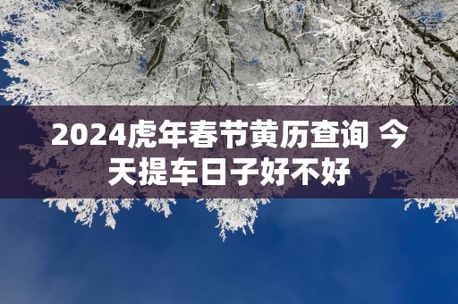 2025蛇年春节黄历查询 今天提车日子好不好