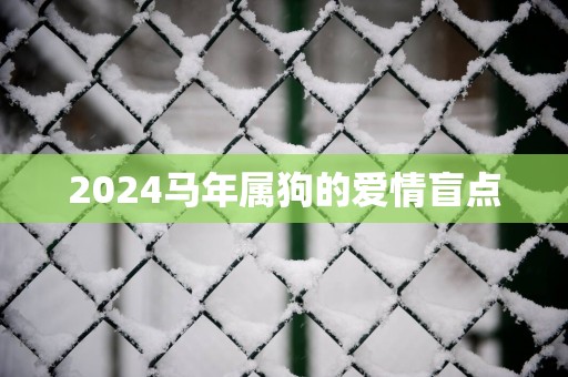 2025马年属狗的爱情盲点
