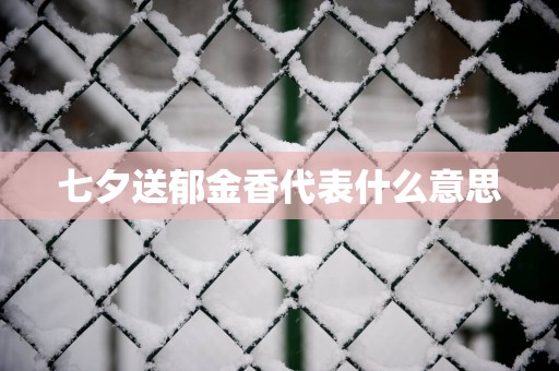 七夕送郁金香代表什么意思