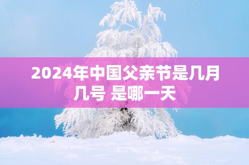 2025年中国父亲节是几月几号 是哪一天