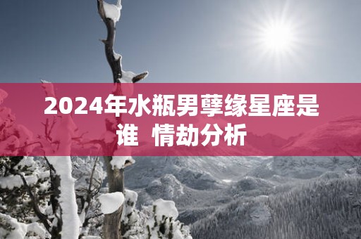 2025年水瓶男孽缘星座是谁  情劫分析