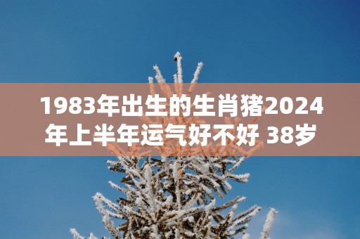 1983年出生的生肖猪2025年上半年运气好不好 38岁的猪人