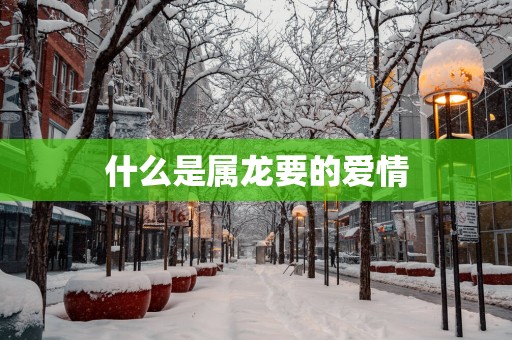 什么是属龙要的爱情