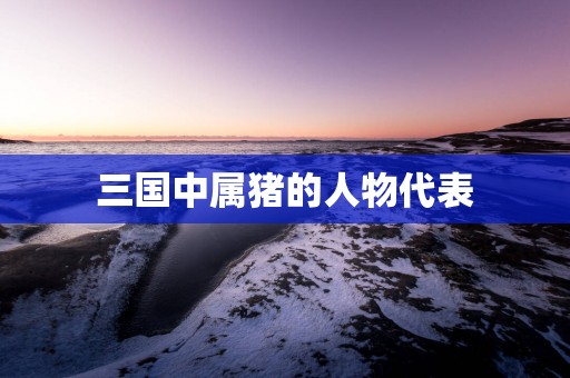 三国中属猪的人物代表