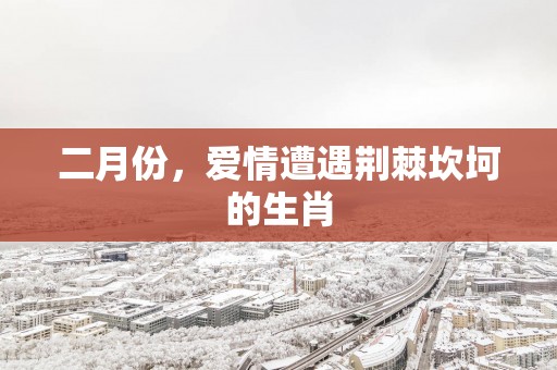 二月份，爱情遭遇荆棘坎坷的生肖