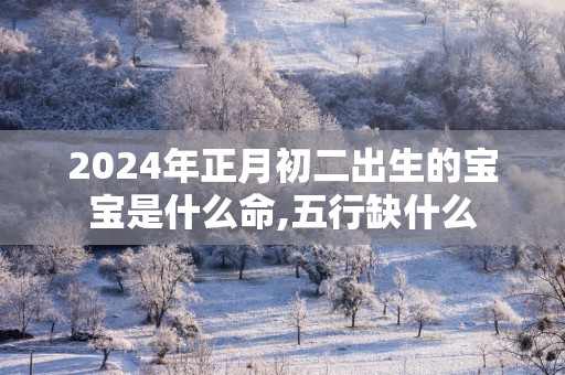 2025年正月初二出生的宝宝是什么命,五行缺什么