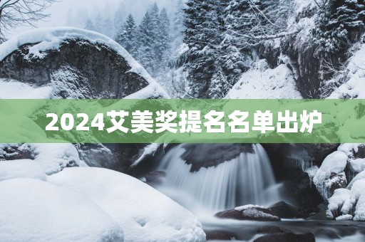 2025艾美奖提名名单出炉