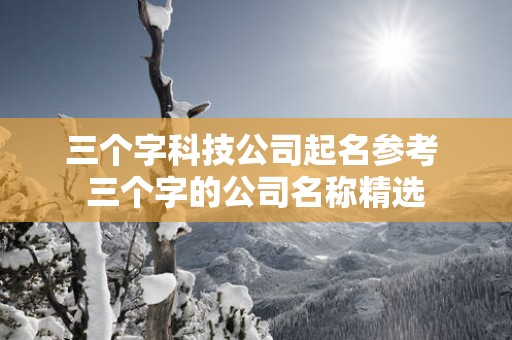 三个字科技公司起名参考 三个字的公司名称精选