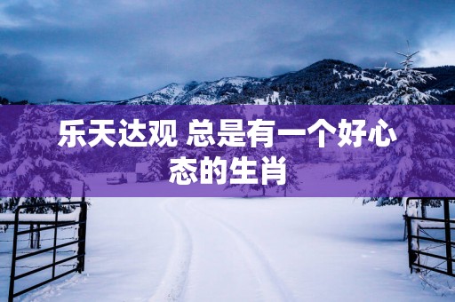 乐天达观 总是有一个好心态的生肖