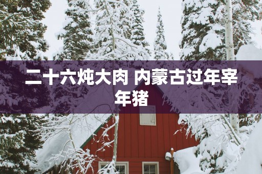 二十六炖大肉 内蒙古过年宰年猪