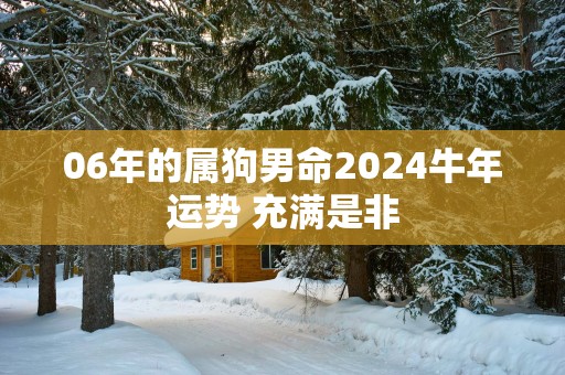06年的属狗男命2025蛇年运势 充满是非
