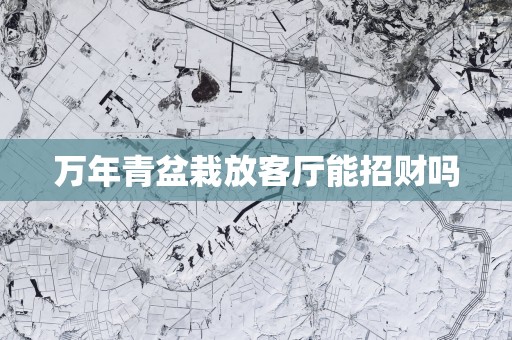 万年青盆栽放客厅能招财吗