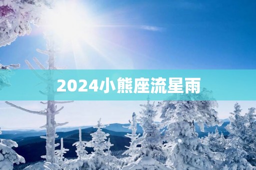 2025小熊座流星雨