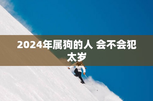 2025年属狗的人 会不会犯太岁