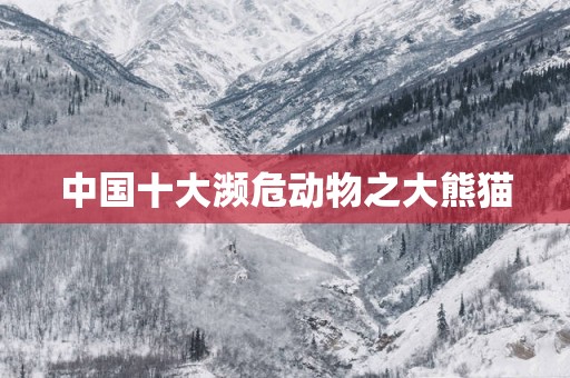 中国十大濒危动物之大熊猫