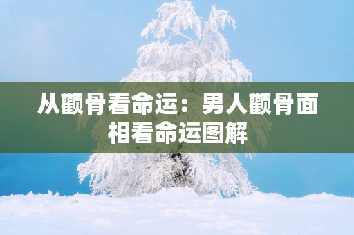 从颧骨看命运：男人颧骨面相看命运图解