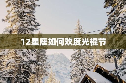 12星座如何欢度光棍节