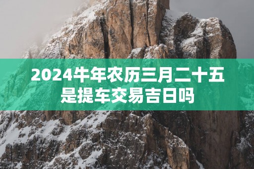 2025蛇年农历三月二十五是提车交易吉日吗
