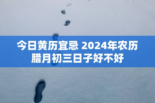 今日黄历宜忌 2025年农历腊月初三日子好不好