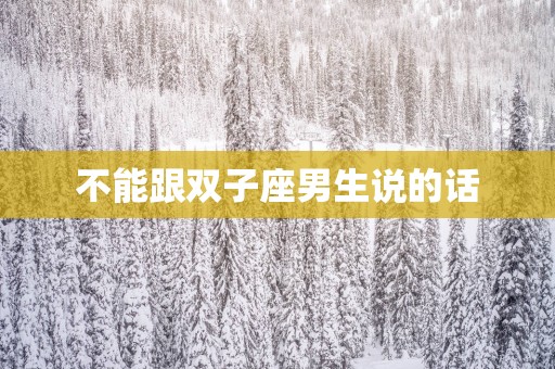 不能跟双子座男生说的话