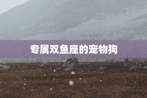 专属双鱼座的宠物狗