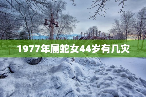 1977年属蛇女44岁有几灾