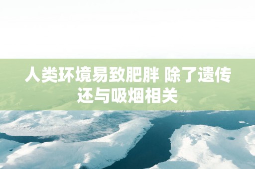 人类环境易致肥胖 除了遗传还与吸烟相关
