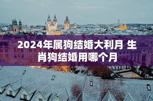 2025年属狗结婚大利月 生肖狗结婚用哪个月