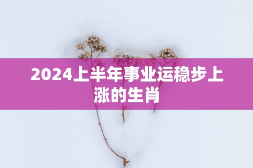 2025上半年事业运稳步上涨的生肖