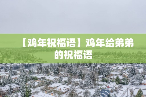 【鸡年祝福语】鸡年给弟弟的祝福语
