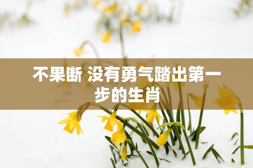 不果断 没有勇气踏出第一步的生肖