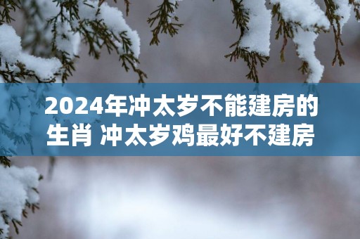 2025年冲太岁不能建房的生肖 冲太岁鸡最好不建房
