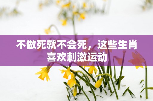 不做死就不会死，这些生肖喜欢刺激运动