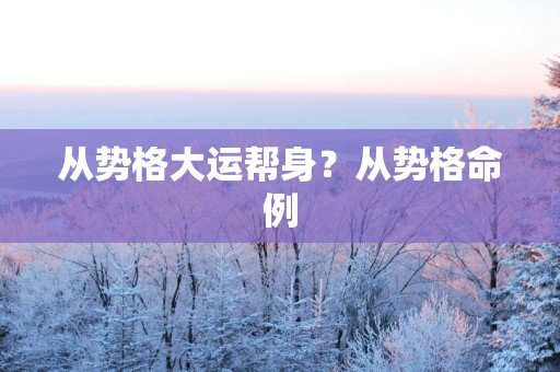 从势格大运帮身？从势格命例