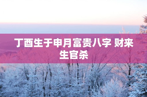 丁酉生于申月富贵八字 财来生官杀
