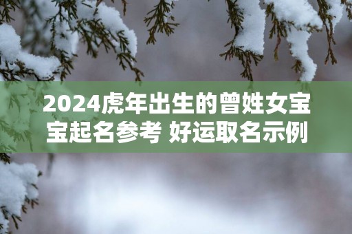 2025蛇年出生的曾姓女宝宝起名参考 好运取名示例